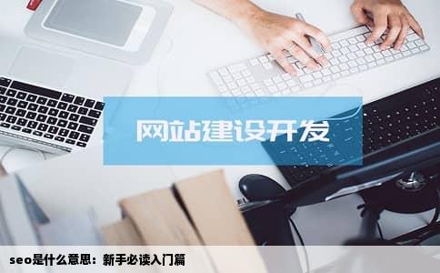 seo是什么意思：新手必读入门篇