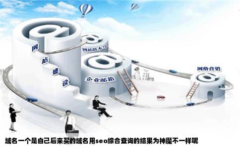 域名一个是自己后来买的域名用seo综合查询的结果为神魔不一样呢