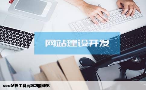 seo站长工具高级功能速览
