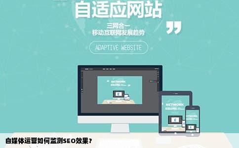自媒体运营如何监测SEO效果？