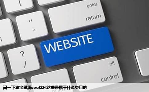 问一下淘宝里卖seo优化这些是属于什么类目的