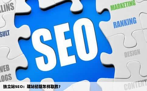 独立站SEO：建站初期怎样取胜？