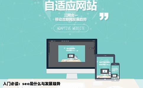 入门必读：seo是什么与发展趋势