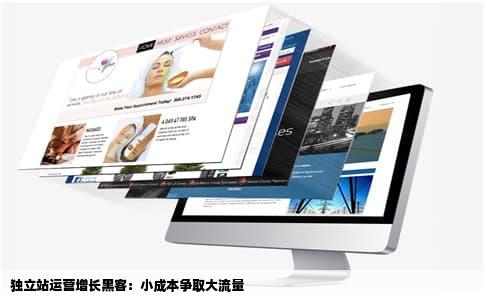 独立站运营增长黑客：小成本争取大流量