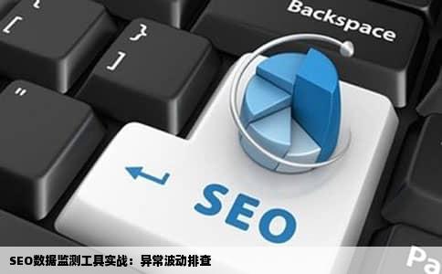 SEO数据监测工具实战：异常波动排查