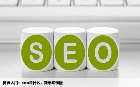 简要入门：seo是什么，新手速懂版