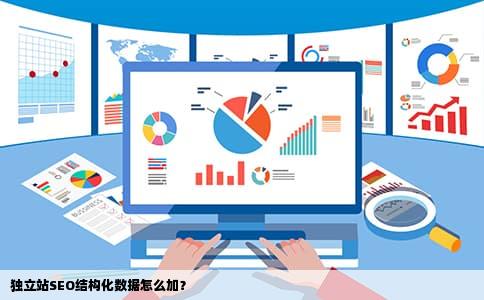 独立站SEO结构化数据怎么加？