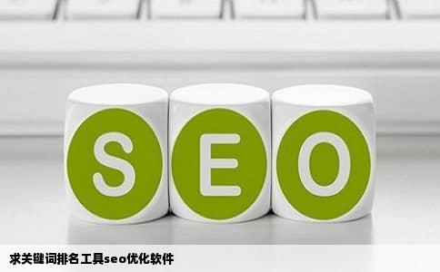 求关键词排名工具seo优化软件