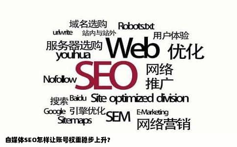 自媒体SEO怎样让账号权重稳步上升？