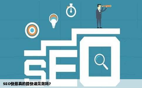 SEO快排真的能快速见效吗？