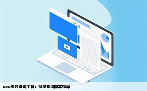seo综合查询工具：批量查询脚本指导