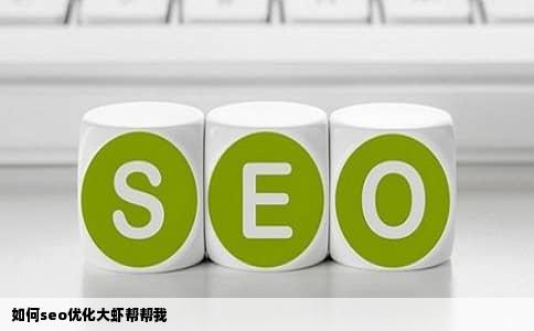 如何seo优化大虾帮帮我