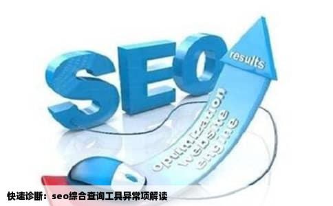 快速诊断：seo综合查询工具异常项解读