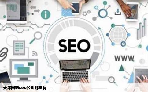 天津网站seo公司哪里有