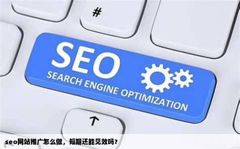 seo网站推广怎么做，短期还能见效吗？