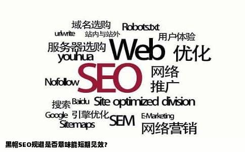 黑帽SEO规避是否意味能短期见效？