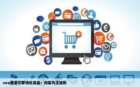 seo搜索引擎优化实战：内容为王法则