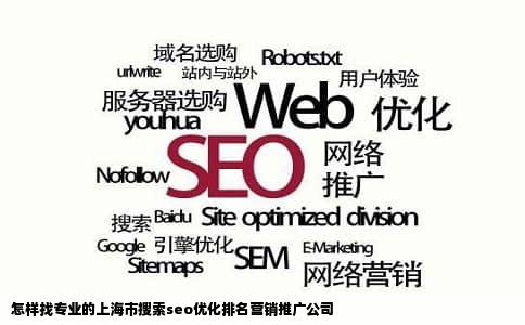 怎样找专业的上海市搜索seo优化排名营销推广公司
