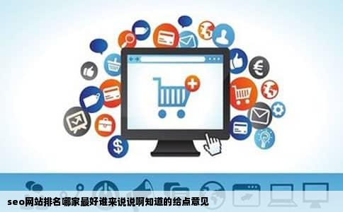 seo网站排名哪家最好谁来说说啊知道的给点意见