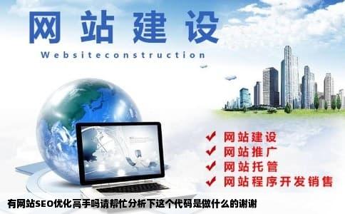有网站SEO优化高手吗请帮忙分析下这个代码是做什么的谢谢
