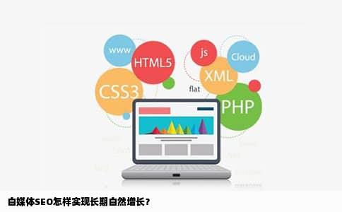 自媒体SEO怎样实现长期自然增长？