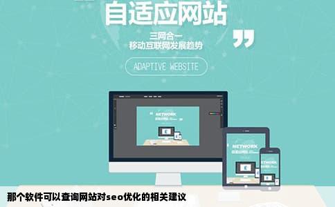 那个软件可以查询网站对seo优化的相关建议