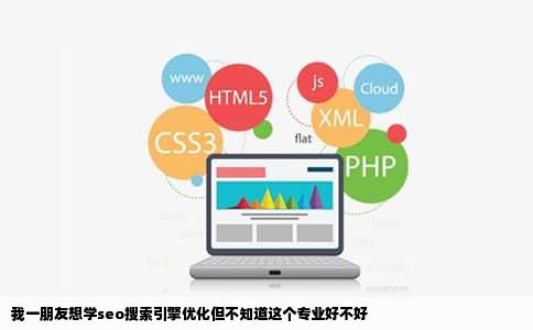 我一朋友想学seo搜索引擎优化但不知道这个专业好不好
