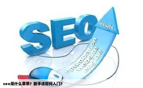 seo是什么意思？新手该如何入门？