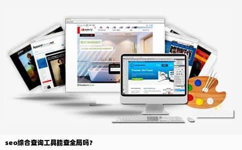 seo综合查询工具能查全局吗？