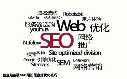 独立站谷歌SEO增长黑客式优化技巧