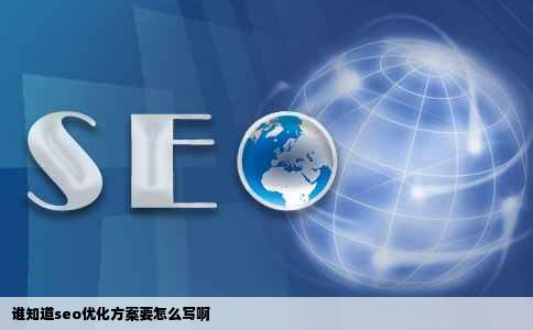谁知道seo优化方案要怎么写啊