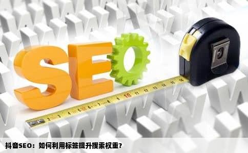 抖音SEO：如何利用标签提升搜索权重？