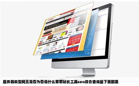 服务器类型网页是否为否是什么意思站长工具seo综合查询最下面那里