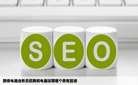 跨境电商业务员和跨境电商运营哪个更有前途