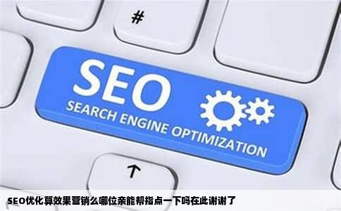 SEO优化算效果营销么哪位亲能帮指点一下吗在此谢谢了