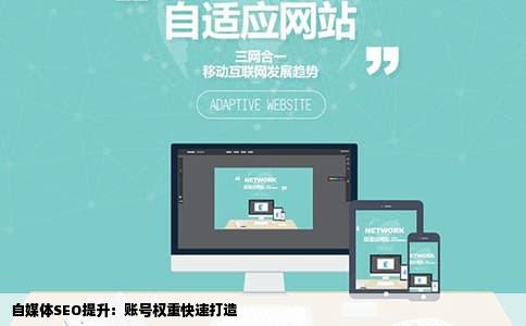自媒体SEO提升：账号权重快速打造
