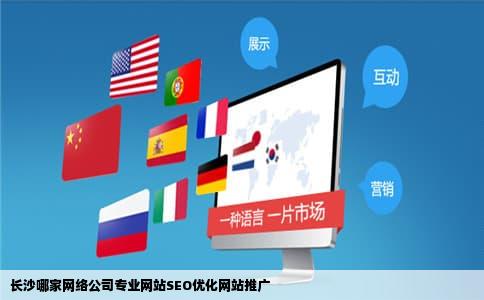 长沙哪家网络公司专业网站SEO优化网站推广