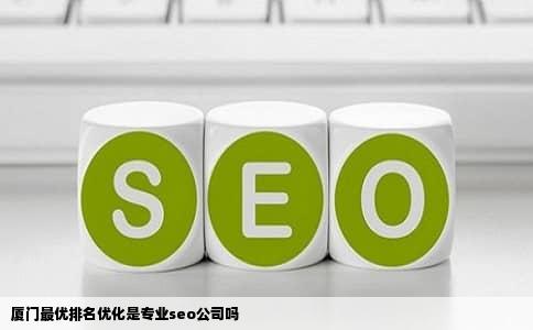 厦门最优排名优化是专业seo公司吗