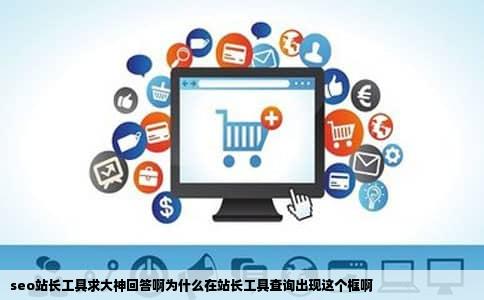 seo站长工具求大神回答啊为什么在站长工具查询出现这个框啊