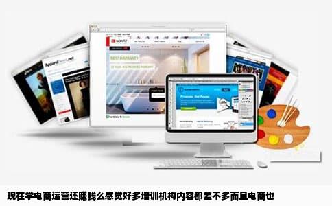 现在学电商运营还赚钱么感觉好多培训机构内容都差不多而且电商也