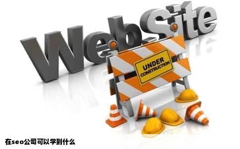在seo公司可以学到什么