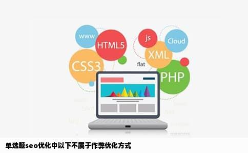 单选题seo优化中以下不属于作弊优化方式