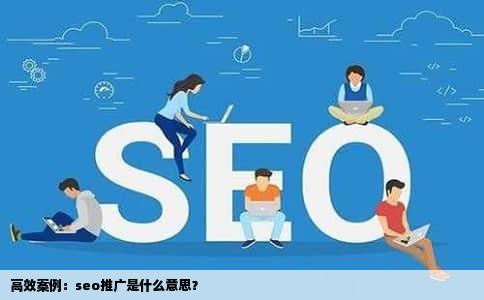 高效案例：seo推广是什么意思？