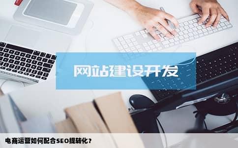 电商运营如何配合SEO提转化？