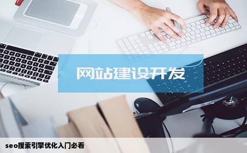 seo搜索引擎优化入门必看