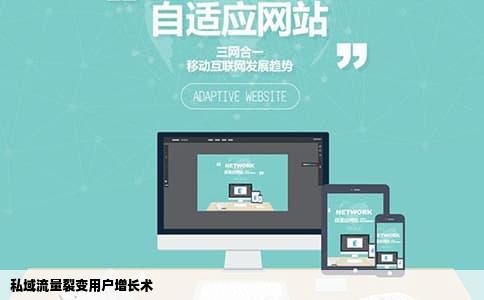 私域流量裂变用户增长术