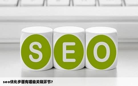 seo优化步骤有哪些关键环节？