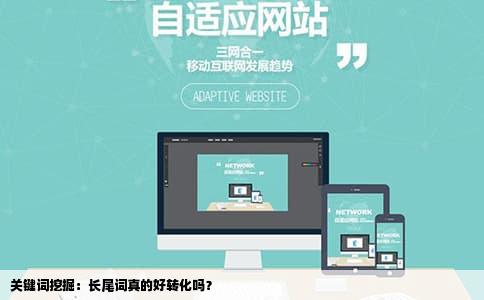 关键词挖掘：长尾词真的好转化吗？