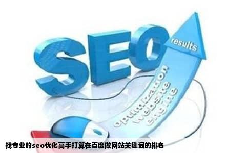 找专业的seo优化高手打算在百度做网站关键词的排名
