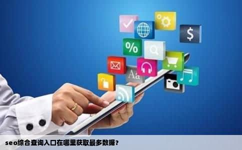 seo综合查询入口在哪里获取最多数据？